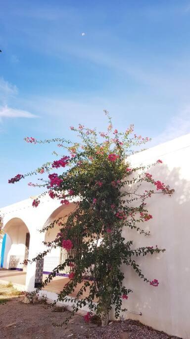 Villa Nijar Has Been Described As One Of The Most Picturesque Towns In The Whole Of Spain. A Visit To Nijar Guarantees The Traveller A Flavour Of The 'Real' Andalusia Without The Need To Overspend On The Trip. Extérieur photo