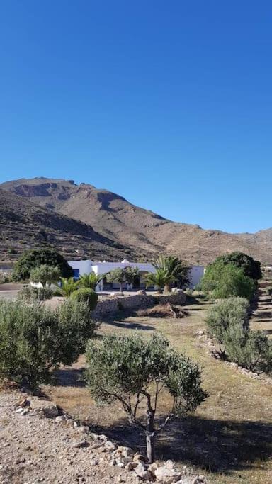 Villa Nijar Has Been Described As One Of The Most Picturesque Towns In The Whole Of Spain. A Visit To Nijar Guarantees The Traveller A Flavour Of The 'Real' Andalusia Without The Need To Overspend On The Trip. Extérieur photo